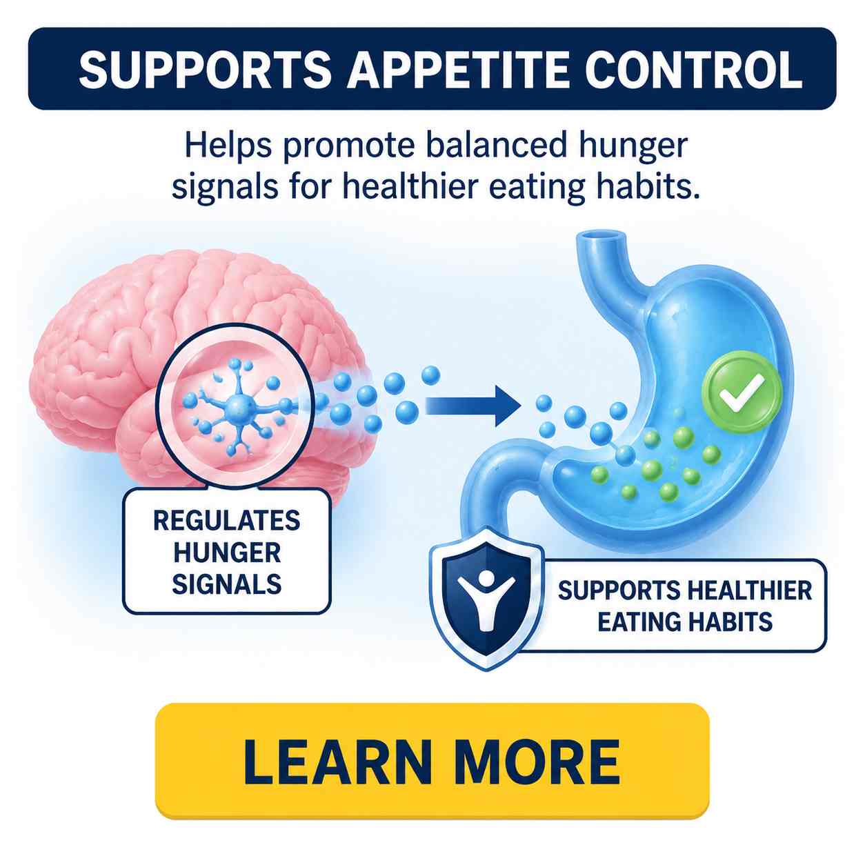 Appetite Control