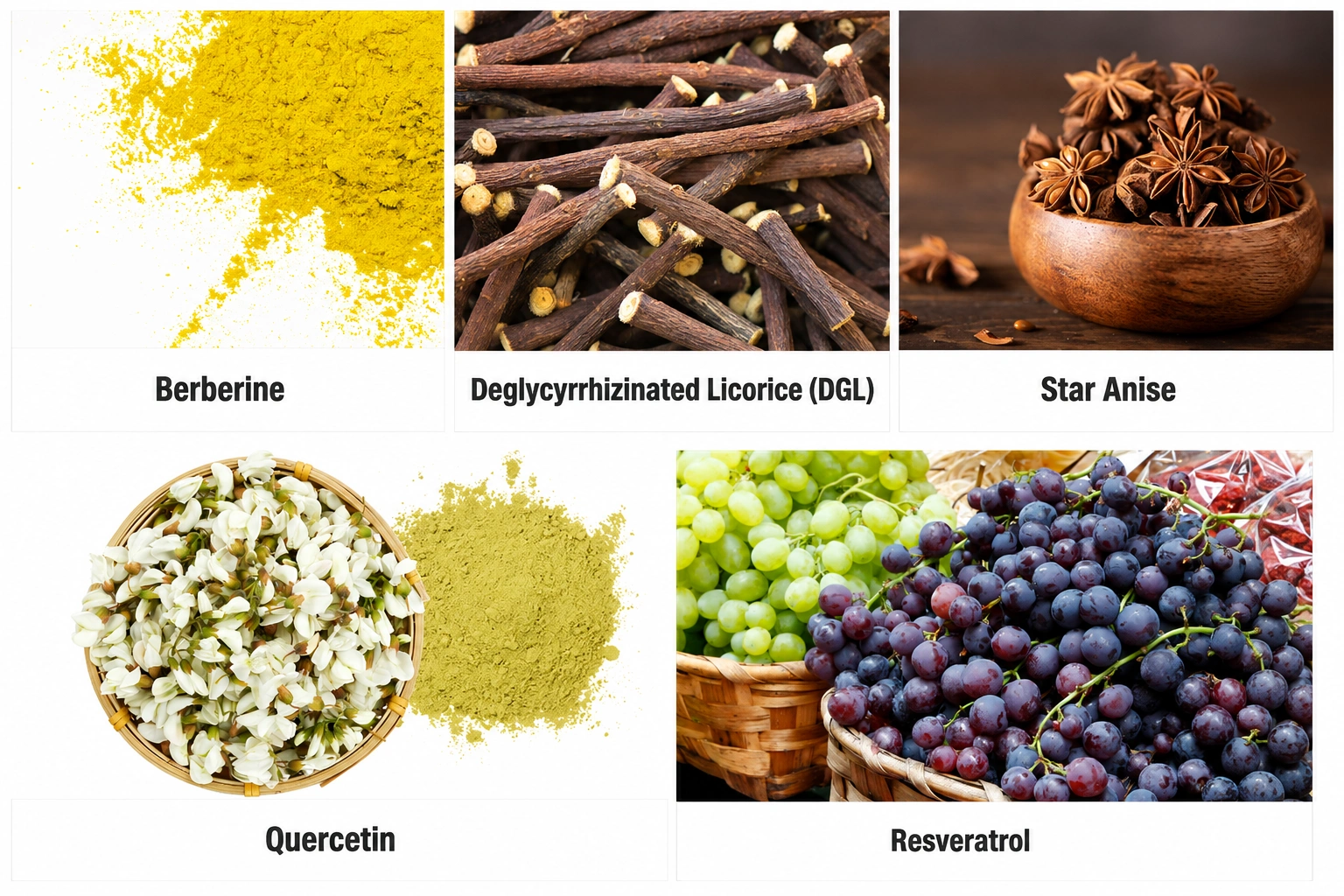 Emma Gut Relief Ingredients