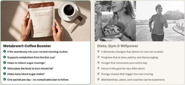 Metabrew Coffee Vs Others