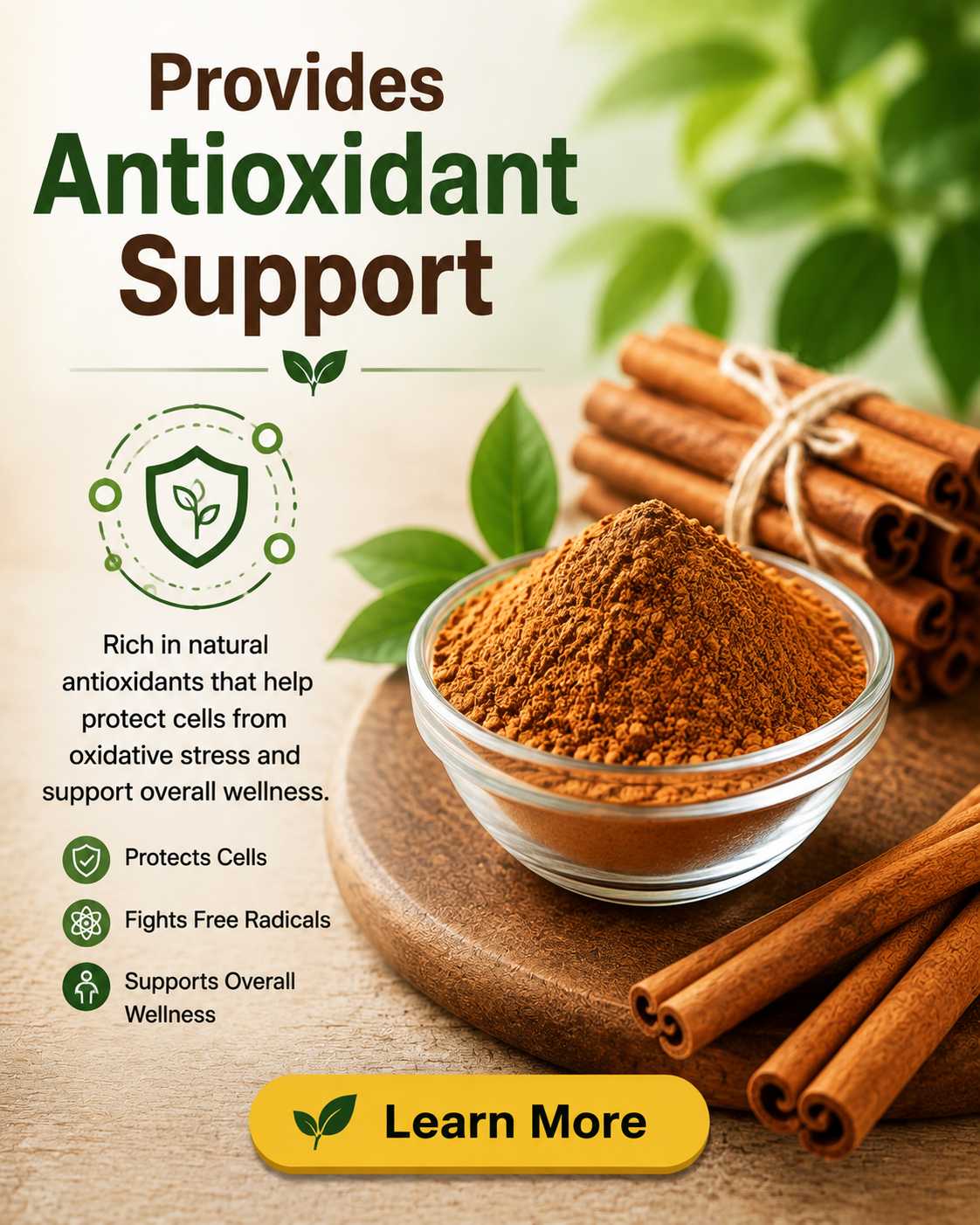Provides Antioxidant Support